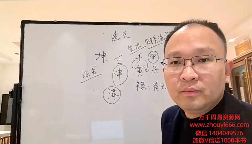 政焱盲派八字高级第十三期11集视频