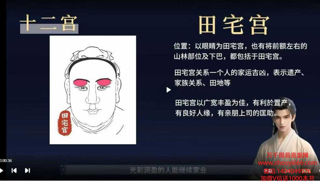坤小坤面相识人术基础课程14集 视频课