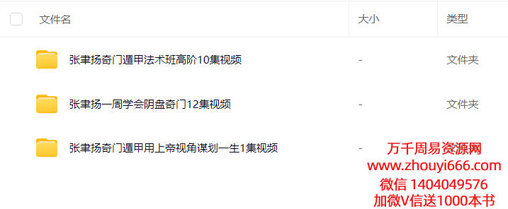 张聿扬奇门3套合集视频
