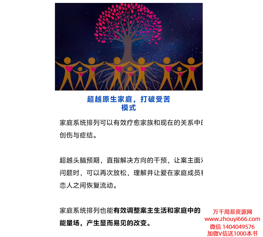 打破你的受苦模式，修复关系，疗愈爱家庭系统排列线上疗愈13集视频课