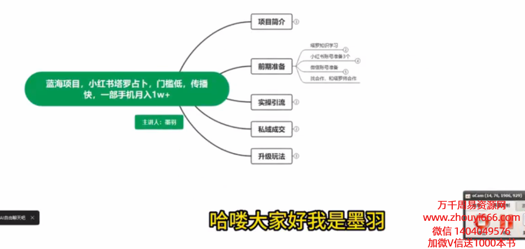 塔罗小红书运营5集视频