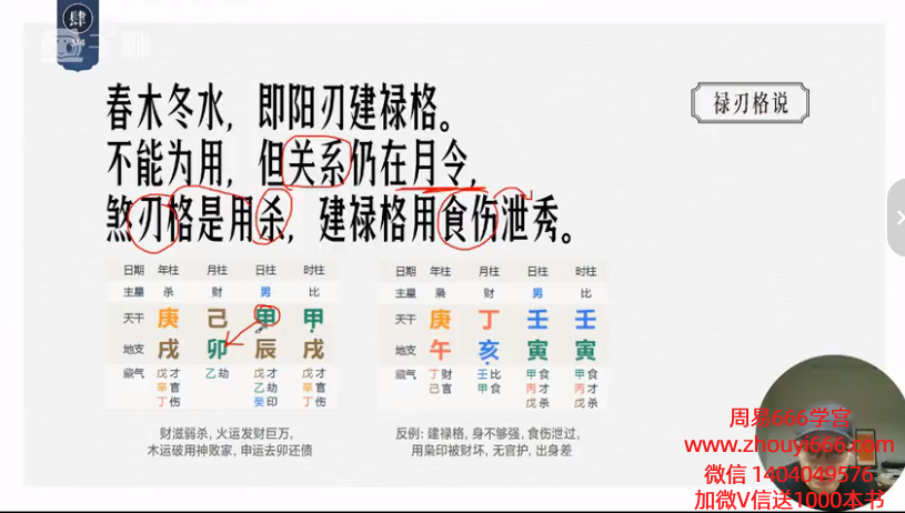 晟峰说易子平真诠与格局应用视频61集