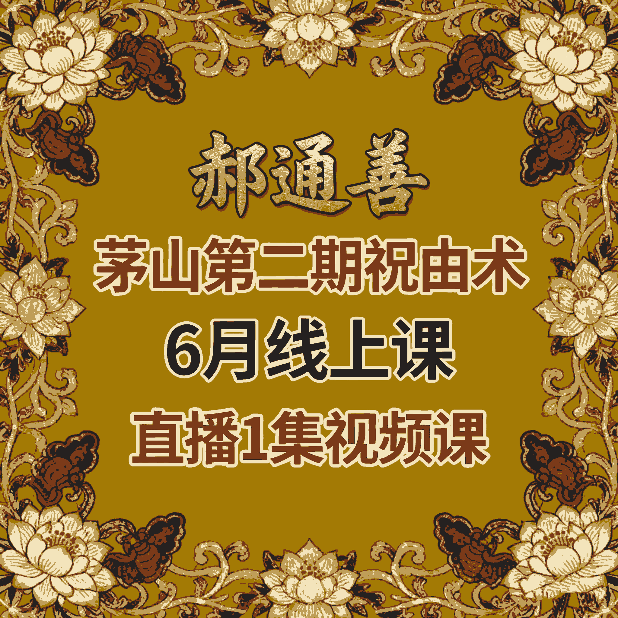 郝通善《茅山第二期祝由术6月20.21线上课》直播1集 视频课