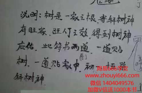 民间法《神奇发财树》，视频+课件