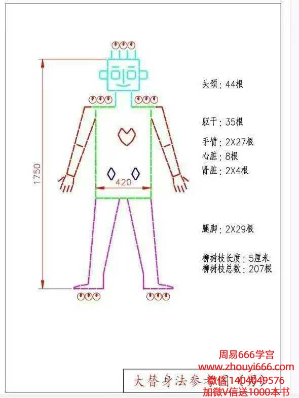 青月秘法《大替身法 》法阵图+视频课