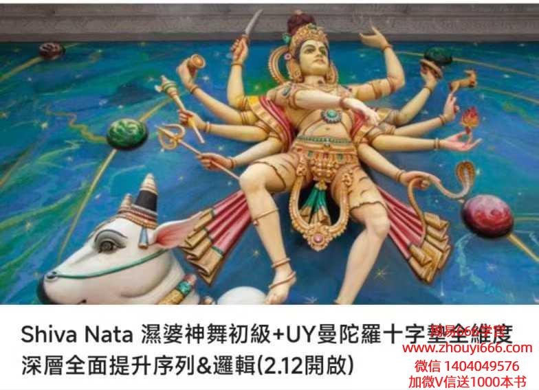 Shiva Nata 湿婆神舞初級+UY曼陀羅十字墊全維度深層全面提升序列&邏輯16集视频课