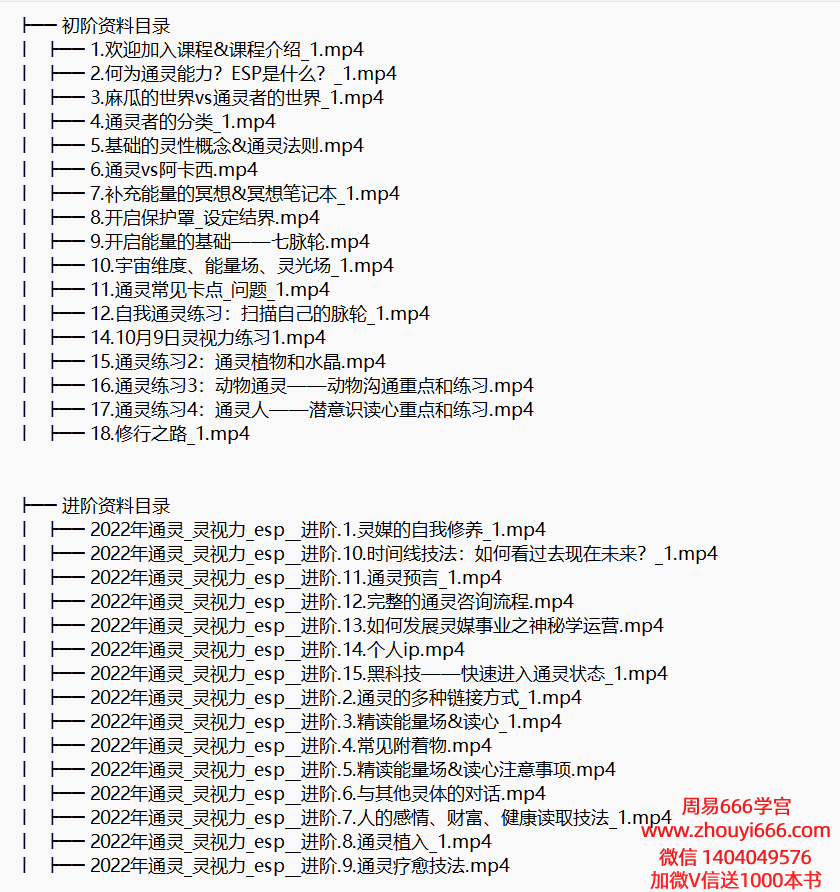 【合集】Iris通灵/灵视力/初级+进阶课程视频合集2套