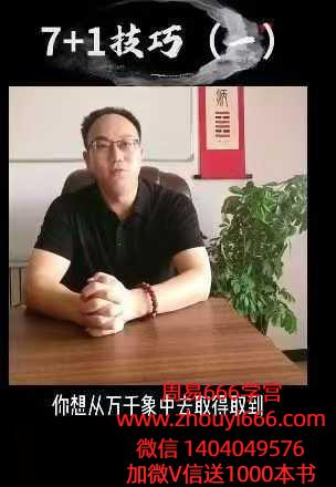 紫烽老师盲派核心视频41集，约4.5小时