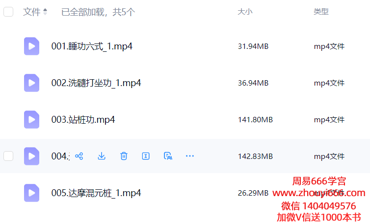 五大禅定实修法门 5集视频