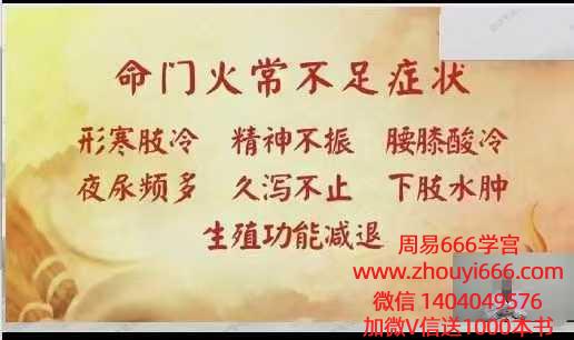 王哲老师丹道周天通关术12集视频