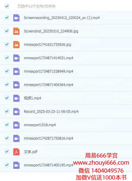 清霖闾山十六法视频+文档