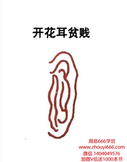 青山书院鹤鹤道家识人术课程 视频27集+课件