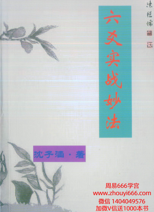 沈子涵《六爻实战妙法》269页.pdf