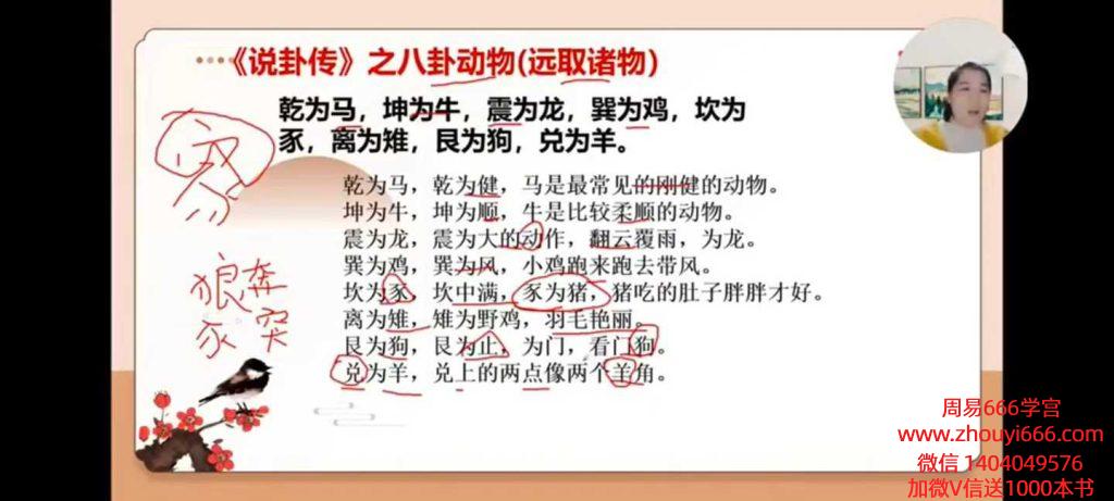 久珍老师《梅花易数》教学视频30集