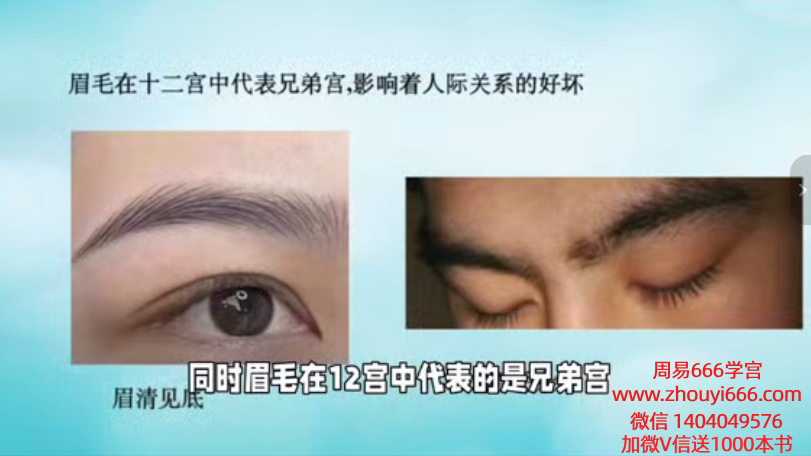 X栩淇老师面相识人‬课12节视频