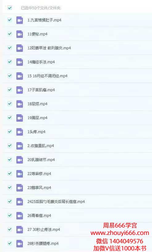 王姓老师道医实战50集视频