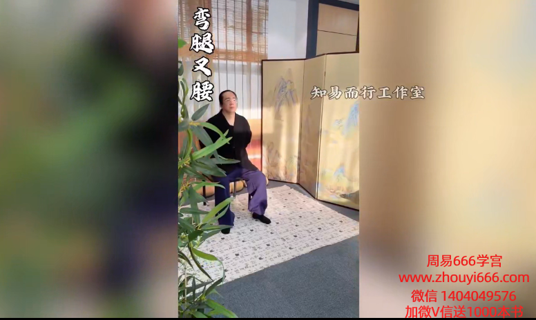 知易而行梁兴杨梁兴扬站桩养生功 7集视频+课件