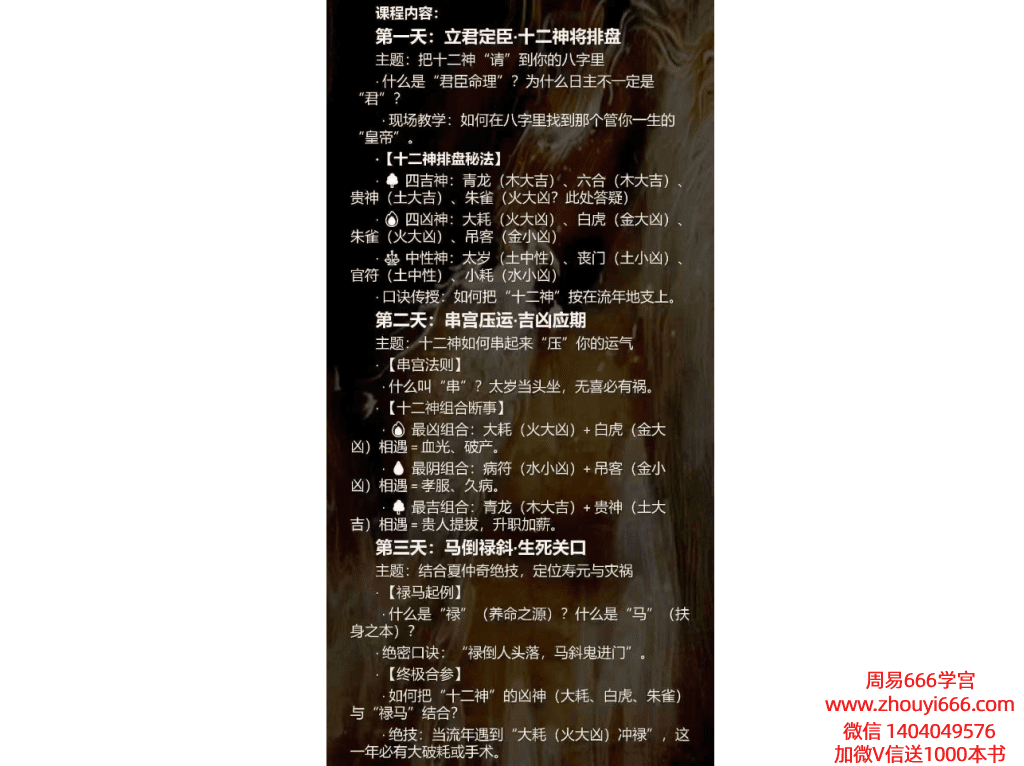 夏光明《龙虎山盲派八字串宫压运马倒禄斜》——3天社群密训交付课视频1集 时长53分钟+文档5个