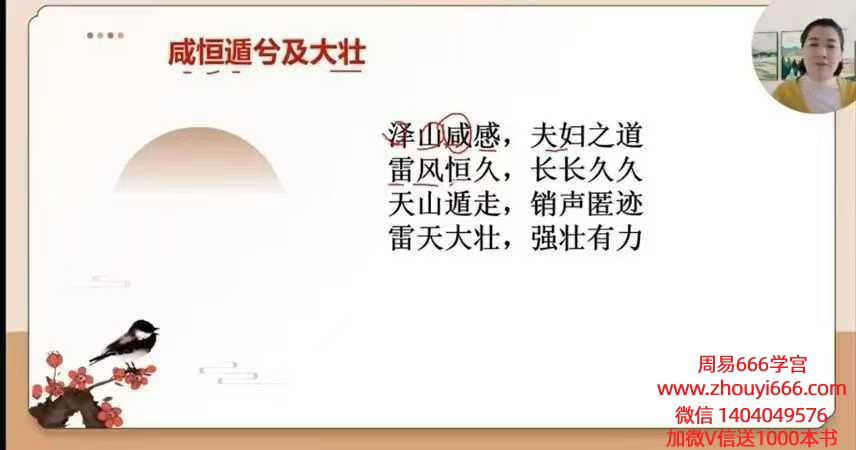 如是禅说梅花易数30集视频