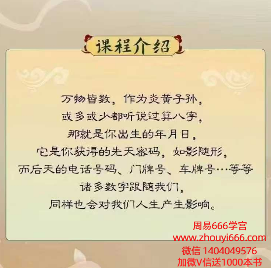 尤尤数字易经专业课20集视频课