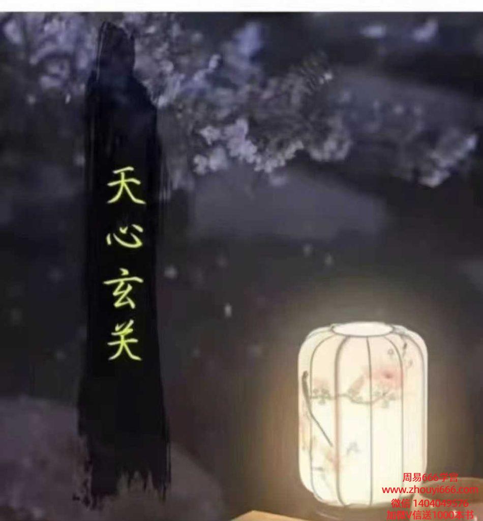 天心玄关生命智慧中级视频5集，10几个小时